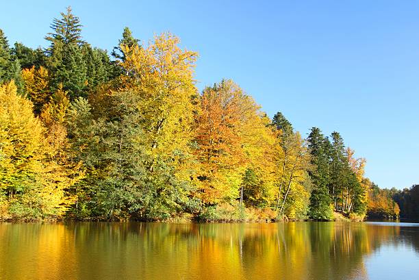 istock Autumn on the lake 494215752