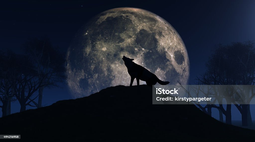 Wolf howling at the moon 3D render of a wolf howling at the moon Wolf Stock Photo