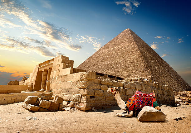 camel près des ruines - pyramid pyramid shape egypt cairo photos et images de collection