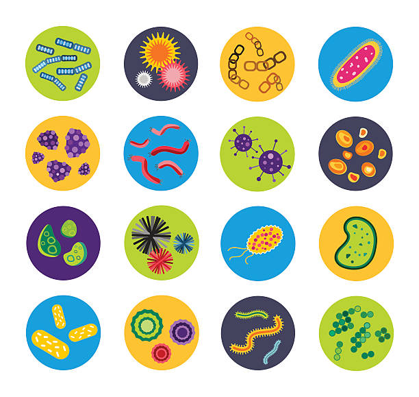 Bacteria virus vector icons set Bacteria virus vector icons set. Biology microorganisms, microbes germs and bacilli. Vector pathogens icons, prokaryotes virus, bugs isolated. Virus science microbe vector icons human cell animal cell healthcare and medicine abstract stock illustrations