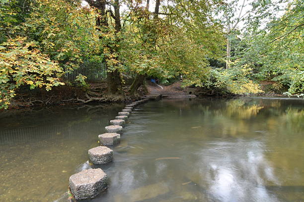 istock Stepping stones in Dorking Surrey 494221988