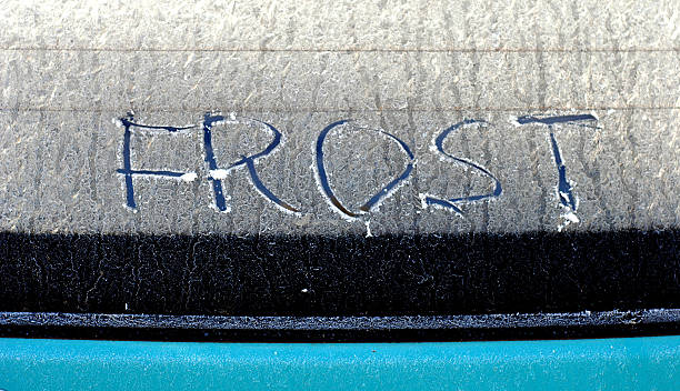 istock Text frost  on a morning frost 494222554