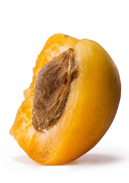 istock Ripe apricot fruit isolated on white background 494222900