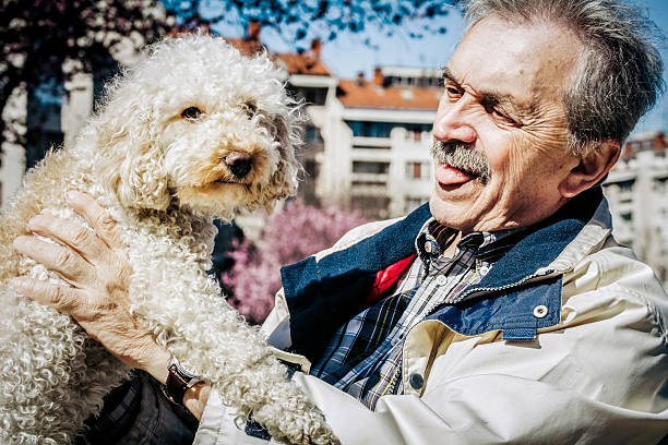 istock Senior man with his dog 494223608