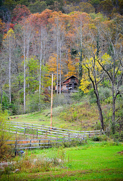 istock Wood cabin and trees 494234133