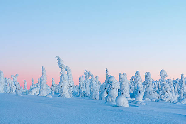 istock Lapland Winter Landscape 494234181