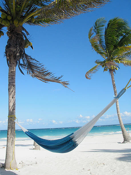 Hammock under palm trees on the Caribbean beach