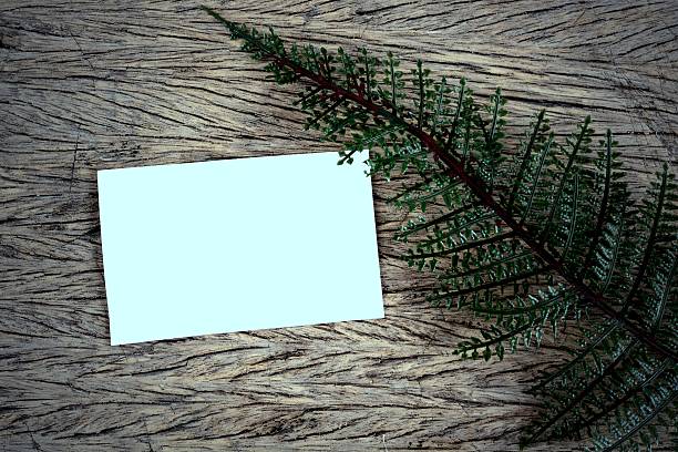 istock green leaves and blank card 494235989