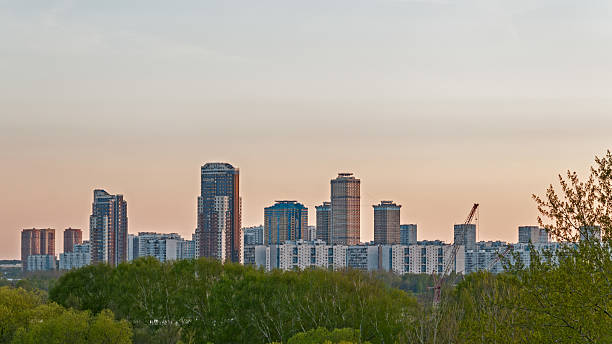 istock Skyline with crane among trees before at sunset 494236511