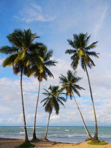 Las Terrenas beach, Samana peninsula, Dominican Republic
