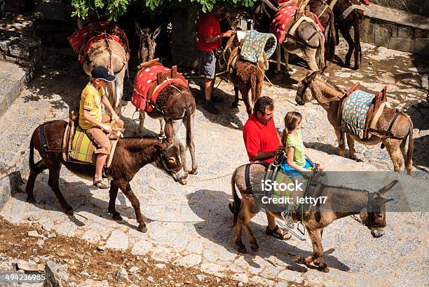 Rhodes Donkey Taxi Stock Photo - Download Image Now - Animal, Ass - Horse  Family, Brown - iStock