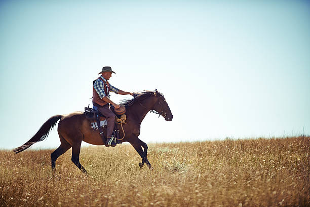istock Out in the fields with his best friend 494237125