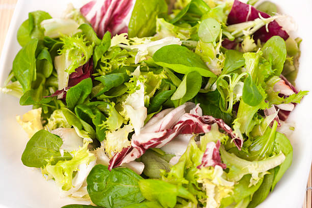 mistura de folhas de salada - red romaine imagens e fotografias de stock