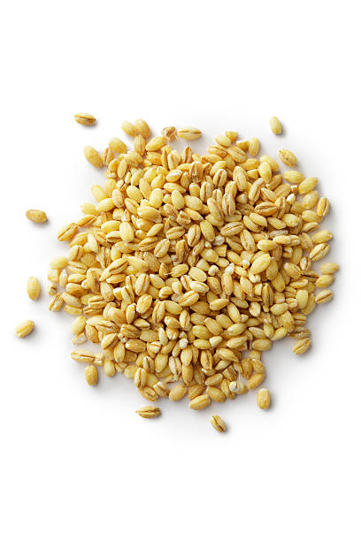 Grains: Barley More Photos like this here... barley stock pictures, royalty-free photos & images