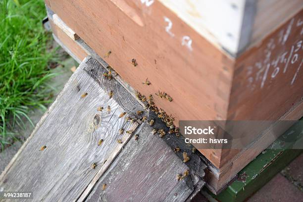 Beehives Stockfoto und mehr Bilder von Agrarbetrieb - Agrarbetrieb, Bauernhaus, Bestäubung