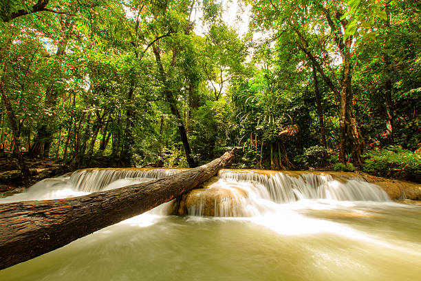 cascata - travel travel locations nature erawan imagens e fotografias de stock