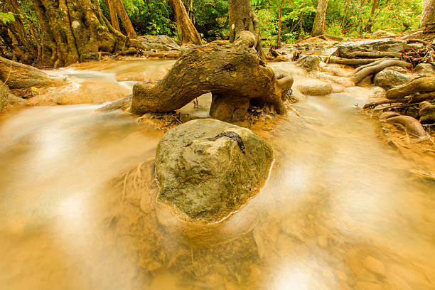 cascata - travel travel locations nature erawan imagens e fotografias de stock