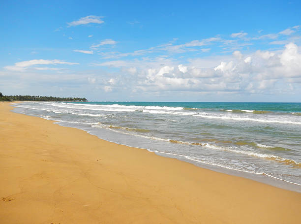 istock El Limon Beach, Dominican Republic 494241321