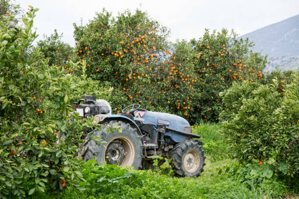 istock Tractor in the garden 494241427