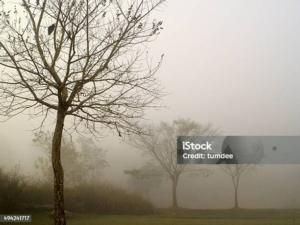 Khaoyai National Park Nakhonratchasrima Thailand Stock Photo - Download Image Now - Activity, Adventure, Animal