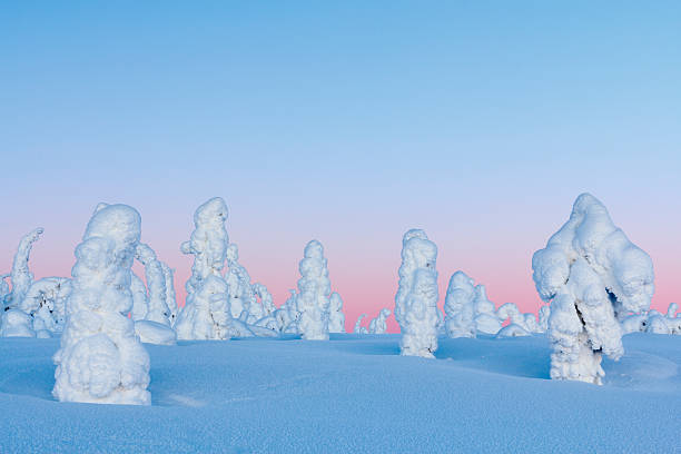 istock Lapland Winter Landscape 494241723