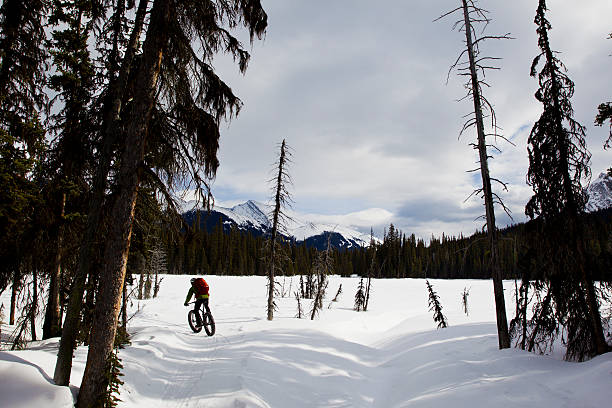 istock Winter Fat Bike Ride 494243196