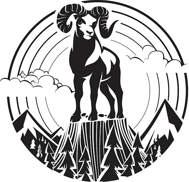 illustrations, cliparts, dessins animés et icônes de mouflon d'amérique des montagnes. - bighorn mountains