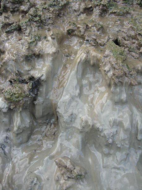 Layer of a dirt and mudflow image of layer of a dirt and mudflow crud stock pictures, royalty-free photos & images