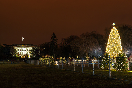 2008  On the National Mall  . The National Christmas Tree looking back at the White House that is decorated for Christmas.