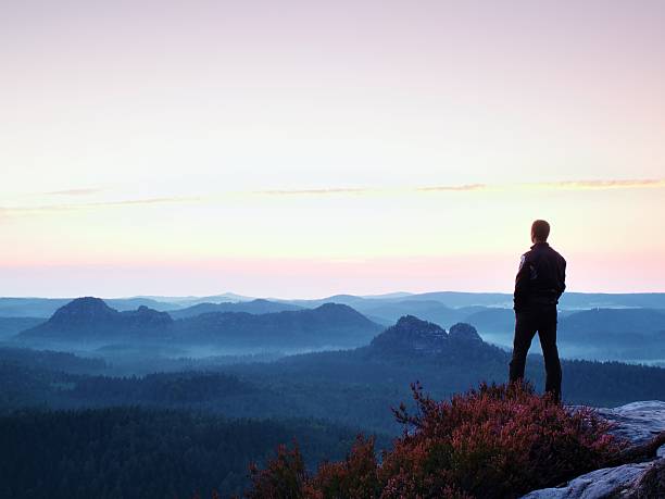 Tall man in black with heather bush. Sharp rocky mountains