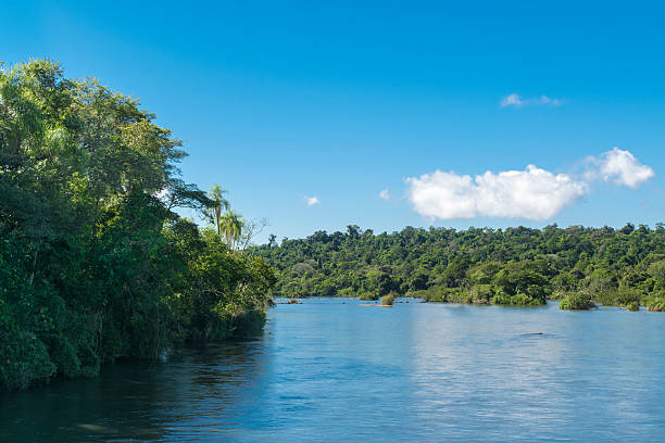 istock Path to the Devil Throat Falls at Iguazu Park 494254282