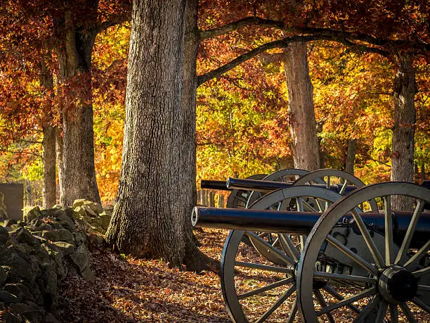 cannons at Gettysburg, lined up along stone fence, with oaks turning gold and brown