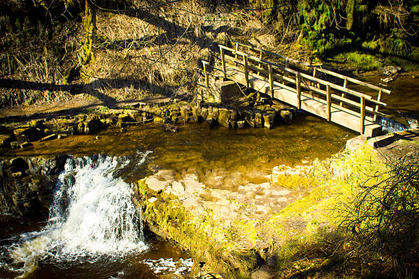 istock Wooden footbridge 494255268