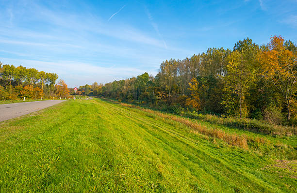 istock Trees in a field in autumn colors 494256548