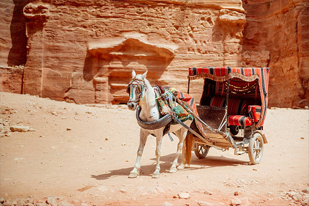 istock Horse with cart in Petra 494256866