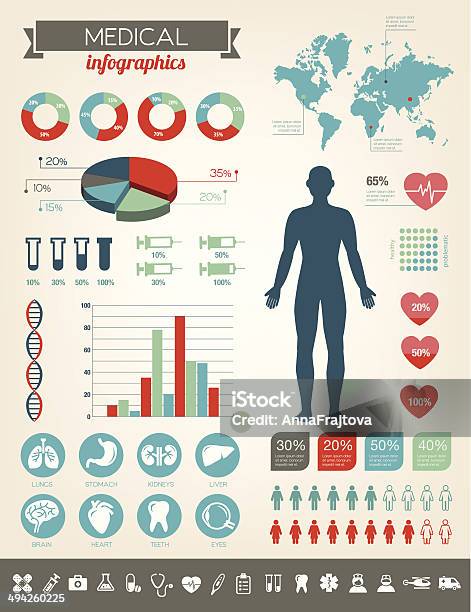 Medical Infographics Stock Illustration - Download Image Now - Infographic, Abdomen, Stomach