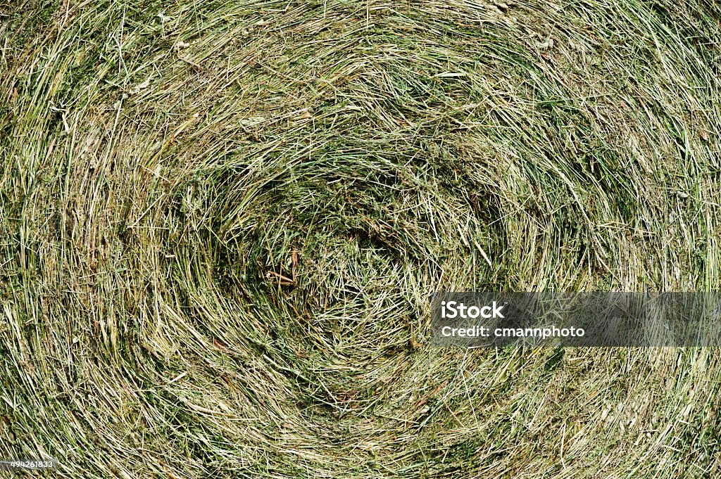 Round Bales of Hay Close up of  the center of a Round Bales of Hay  Agriculture Stock Photo