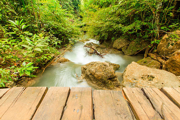 cascata - travel travel locations nature erawan imagens e fotografias de stock