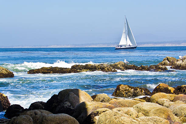istock Sailboat on Monterey Ocean 494264755
