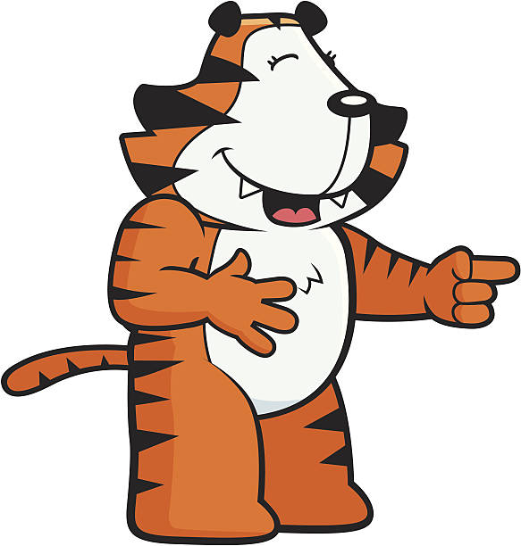 tiger śmiać się - tiger pointing vector cartoon stock illustrations