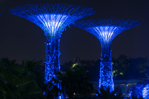 Singapore City, Singapore - March 22, 2014: Gardens by the Bay in Singapore at night. Supertree Grove