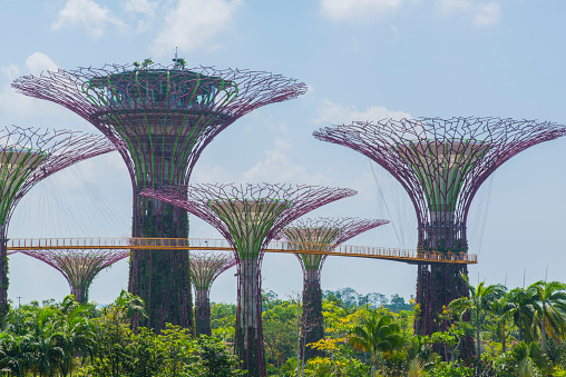 Singapore City, Singapore - March 24, 2014: Gardens by the Bay in Singapore at day. Supertree Grove