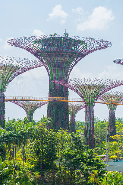 Singapore City, Singapore - March 24, 2014: Gardens by the Bay in Singapore at day. Supertree Grove