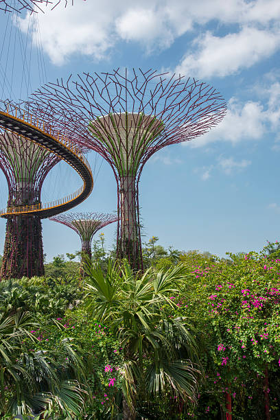 Singapore City, Singapore - March 24, 2014: Gardens by the Bay in Singapore at day. It was crowned World Building of the Year at the World Architecture Festival 2012