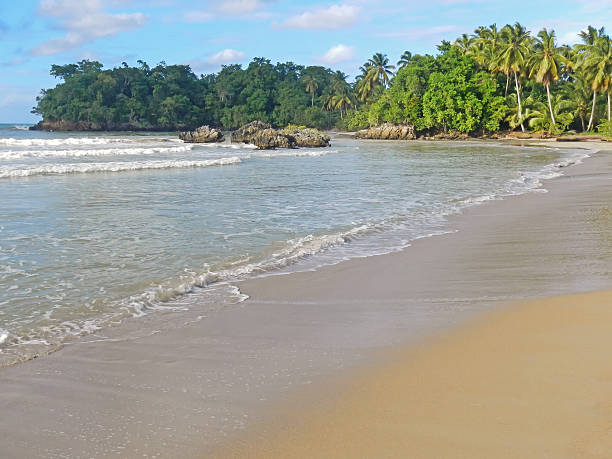 istock Bonita beach, Samana peninsula 494276281