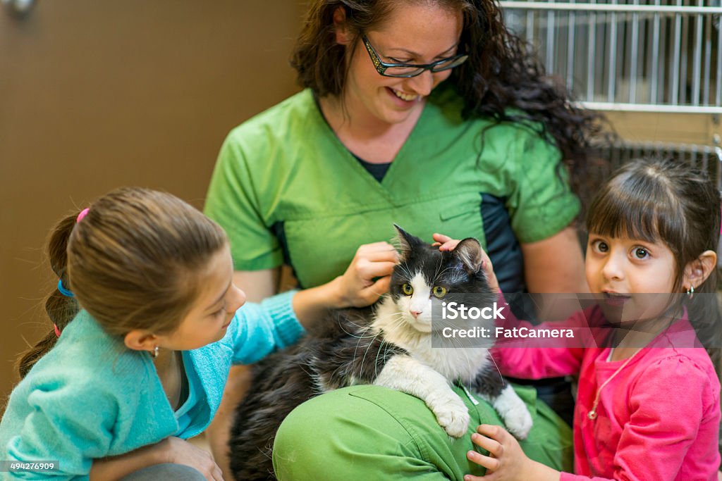 Pet Adoption Kids picking a cat to adopt from the animal shelter. Child Stock Photo