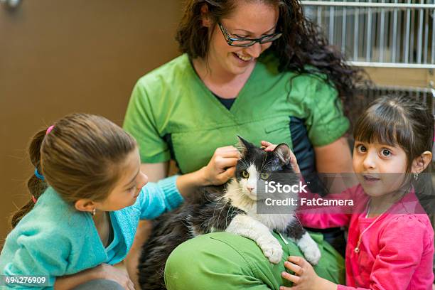 Pet Adoption Stock Photo - Download Image Now - Child, Domestic Cat, Veterinarian
