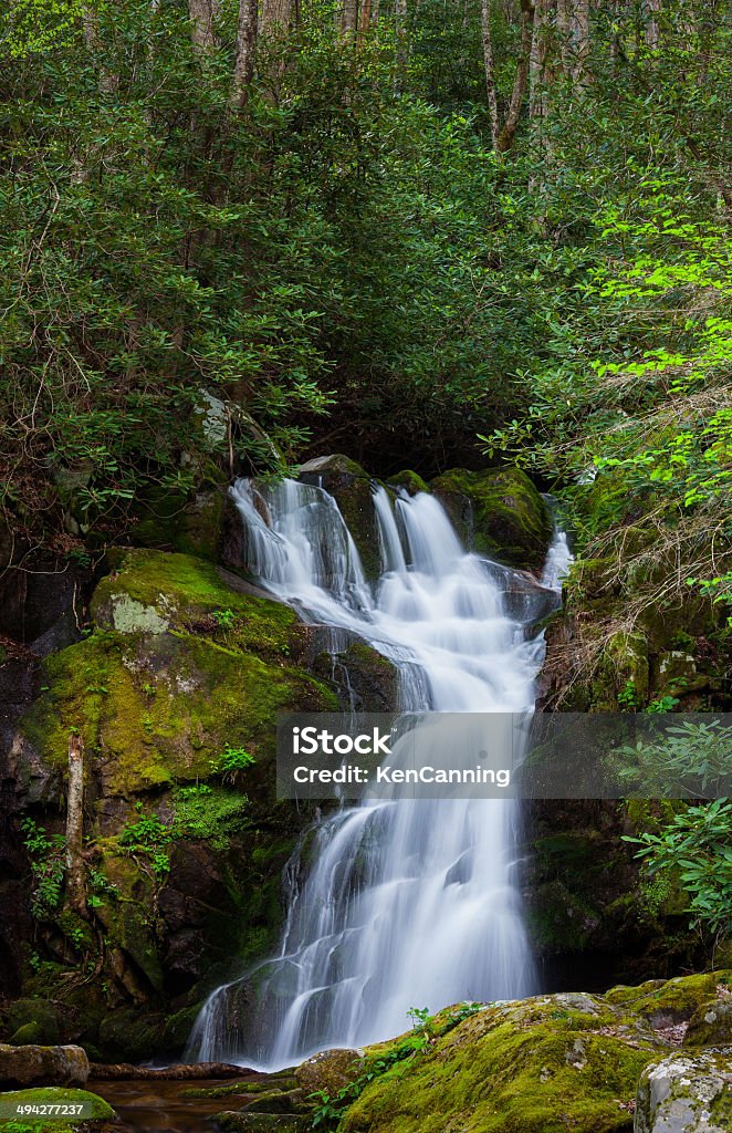 Cascata e Ruscello di montagna - Foto stock royalty-free di Acqua