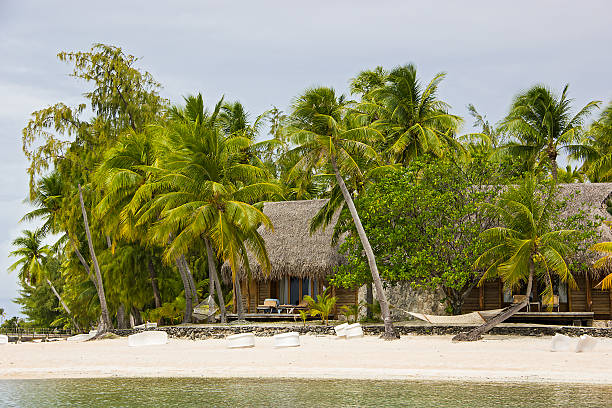 istock tikehau bungalow on the beach 494278693