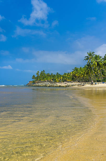 istock Incredible indian beaches,  Varkala. Kerala, India 494279037